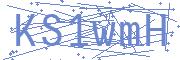 Refresh captcha